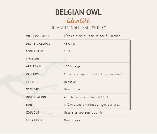belgium owl -2.jpg